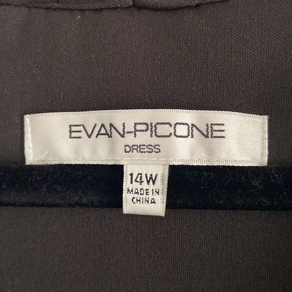 Evening Dress-14W - Picture 4 of 12